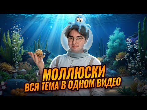 Видео: Моллюски | Полный разбор для ОГЭ по биологии | Умскул