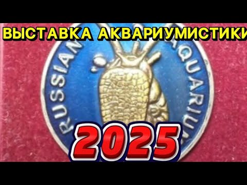 Видео: ВЫСТАВКА АКВАРИУМИСТИКИ КЛУБА «РУССКИЕ АКВАРИУМЫ». Обзор выставки 2025 года😁👌