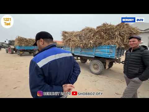 Видео: БЕРУНИЙ УТ ЕМ ХАШАК БОЗОРИ 5 КИСМ 16.11.2025