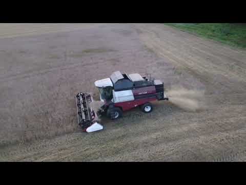 Видео: Уборочная 2023 Комбайны Ростсельмаш Акрос 530 и Вектор 410