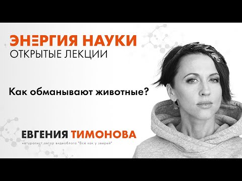 Видео: Евгения Тимонова. "Как обманывают животные?"