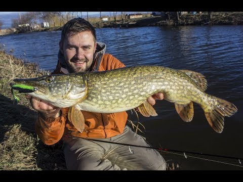 Видео: Crazy Fish Tough: уловистая приманка на щуку. Оснащение больших силиконовых приманок