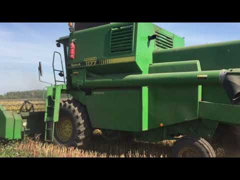 Видео: Молотимо гречку сорт Дікуль,John Deer 1177, врожайність, насіння в обмеженій кількості, звертайтесь!