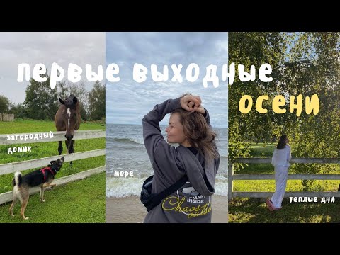 Видео: Vlog 21 / мини-отпуск в домике у моря