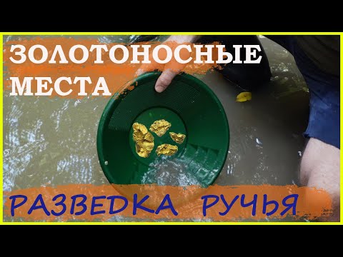 Видео: КАК НАЙТИ ЗОЛОТО В РУЧЬЕ // АВСТРАЛИЙСКИЕ ЗОЛОТОИСКАТЕЛИ