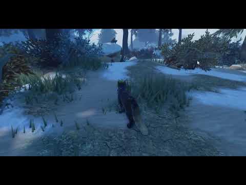 Видео: Экскурсия по лагерям в Котах Воителях в Роблокс