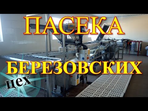 Видео: Пасека Березовских - База Цех Линия / FABRO