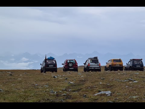 Видео: Уныман Барон 2022. Нивы на вершине. Заключительная серия