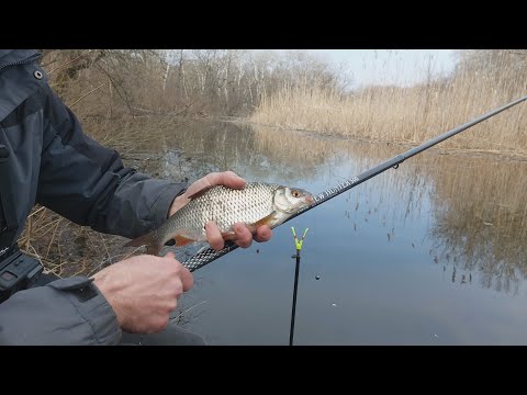 Видео: Люта плотва на поплавець у березні.