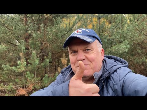 Видео: Наполнил корзину за час! Это просто кайф,мечта грибника,🍄‍🟫 грибной рай! Такое никогда не забудешь!