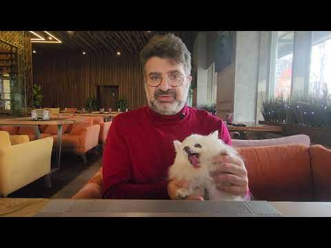 Видео: Мясо — комплекс жизненно важных элементов. Железо, цинк и витамины группы В