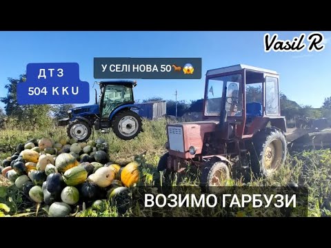Видео: Возимо гарбузи Т-25 А В СУСІДІВ ДТЗ 504 ККU😱