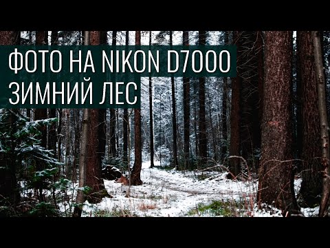 Видео: Зимний лес | фото на Nikon d7000