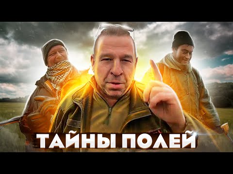 Видео: Тайны полей От скифов до советов