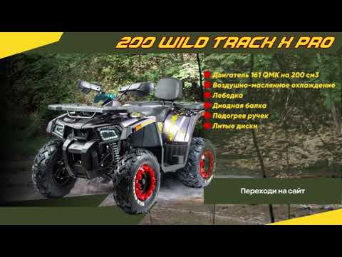 Видео: Надо глянуть / Обзор Квадроцикл 200 Wild Track X PRO /Ростов 2023