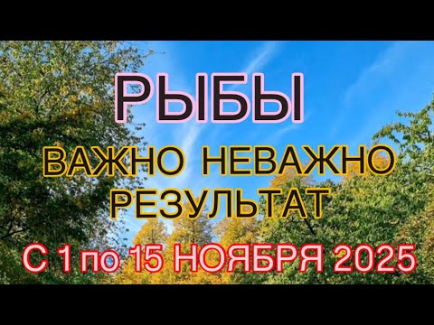 Видео: РЫБЫ  - С 01  ПО 15  НОЯБРЯ   2025 | ВАЖНО! | НЕ ВАЖНО! | РЕЗУЛЬТАТ | ПРОГНОЗ ОТ NATALLIA  MARKOWSKA