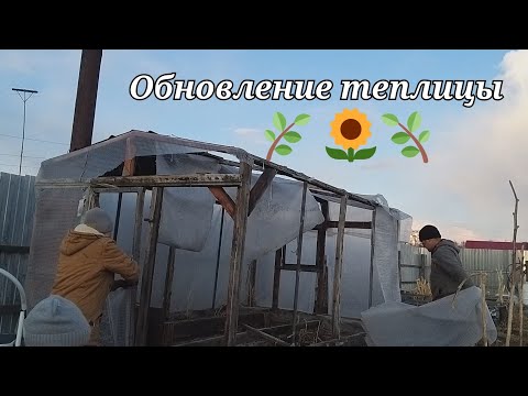 Видео: Обновление теплицы 🌱🥒🍅