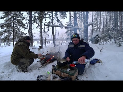 Видео: УЕХАЛИ в ЛЕС на ТАЁЖНОЕ ОЗЕРО. ПО ТАЙГЕ на МОТО БУКСИРОВЩИКЕ. ЛОВИМ ОКУНЯ.