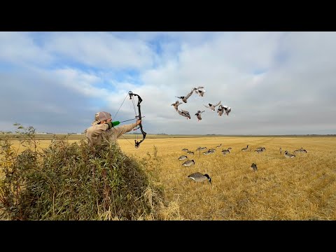 Видео: Охота на летящих уток и гусей с луком и стрелами!