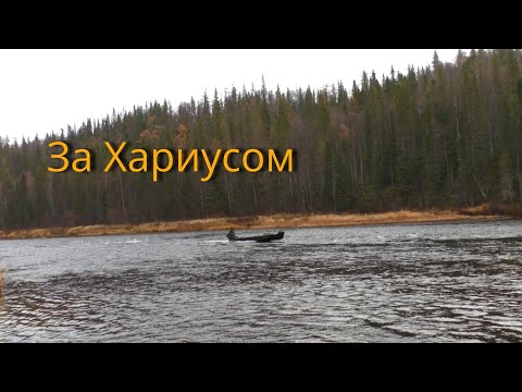Видео: Лесная изба. Проверка избы.Рыбалка на хариуса. Рыбалка 2021.Аэроглиссер,лодка на воздушной подушке.