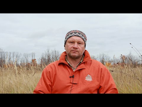 Видео: Практика распознавания, наблюдения. Формы воззрений и красота осени.