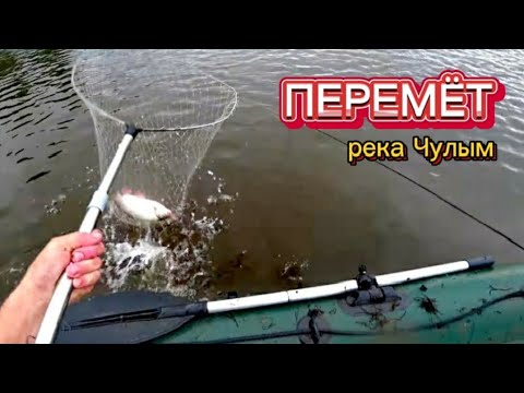 Видео: Ведро ЯЗЕЙ и СУДАК в придачу! Поперечный ПЕРЕМЁТ. Река ЧУЛЫМ.