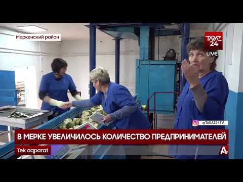 Видео: В МЕРКЕ УВЕЛИЧИЛОСЬ КОЛИЧЕСТВО ПРЕДПРИНИМАТЕЛЕЙ