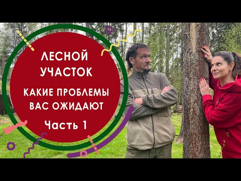 Видео: Лесной участок. Какие проблемы вас ожидают