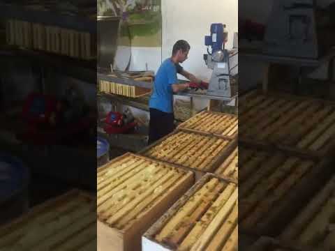 Видео: Лінія по відкачці меду Гуслія Ю. М.