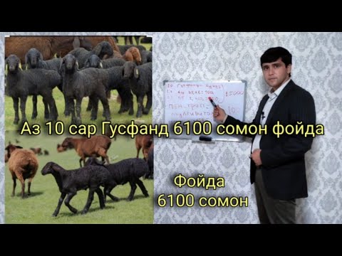 Видео: Бо ин тавр фойдаи калон аз гусфанд. Шарифхони Мирали. н.Фархор