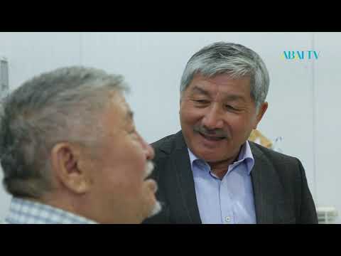 Видео: Құдіретті қылқалам. Тілеуберді Бинаш