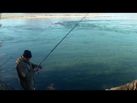 Видео: Рыбалка на р  Агаякан, Оймякон