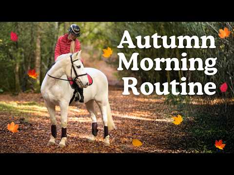 Видео: Осенняя утренняя рутина — Эта Эсме