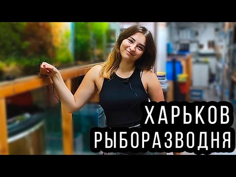 Видео: У Аленки на разводне пополнение!