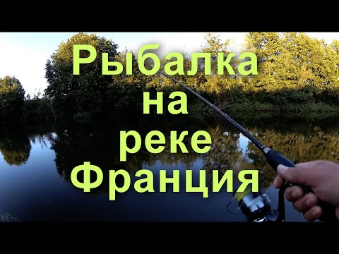 Видео: ПЕРВАЯ И УДАЧНАЯ РЫБАЛКА. ЛЕТО 2023 РЫБАЛКА ВО ФРАНЦИИ