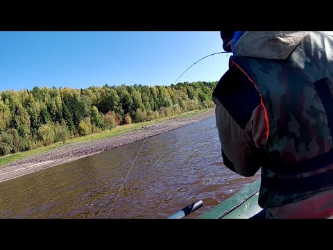 Видео: ВПЕРВЫЕ ПОЙМАЛ ЕГО!!! НАШЛИ ЯМУ С РЫБОЙ!!! Рыбалка на Оби осенью!!!  Каменное 2021. Часть 2.