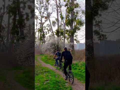 Видео: NEO ГМР #neo