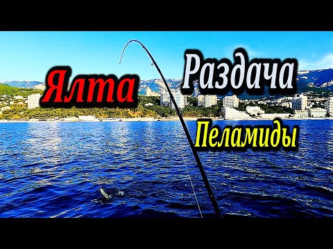 Видео: ВОТ ЭТО РАЗДАЧА, КРЮЧКИ В НОГЕ! Спиннинг в дугу. Рыбалка в Ялте. Ловля Пеламиды с Сапа.