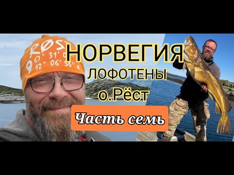 Видео: Норвегия. Дорога - это часть рыбалки!