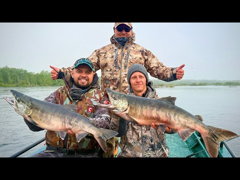 Видео: ЭТА РЫБАЛКА БУДЕТ СНИТЬСЯ! КАМЧАТКА-МЕЧТА РЫБОЛОВА! ЛОСОСЬ,КРАБЫ! СПИННИНГИ В ДУГУ И ВИЗГ ФРИКЦИОНА!