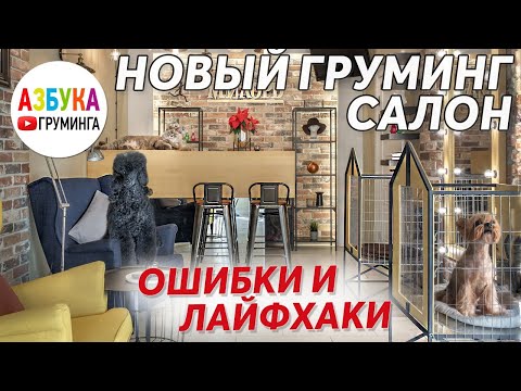 Видео: Новый салон для животных. Оборудование, ремонт, открытие