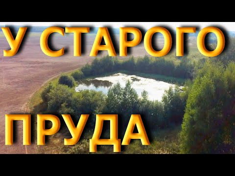 Видео: ЧТО МОЖНО НАЙТИ У СТАРОГО ПРУДА? Коп X-Terra 705
