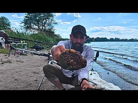 Видео: !!! Рижі САЗАНИ Полюбляють ЦЕ !!! Рибалка на ДИКАРІ