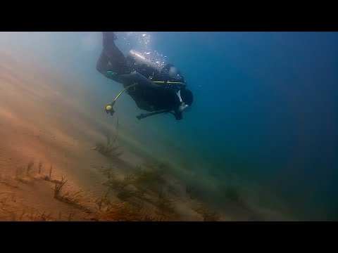Видео: НА ДНЕ документальный фильм