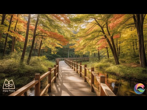 Видео: Красивая музыка для души - Сборник лучших мелодий 2025 (Часть 2) 🎵