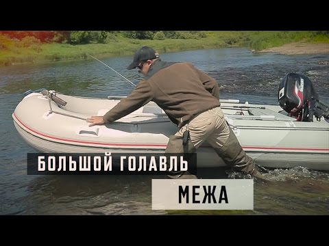 Видео: Большой Голавль. Межа.