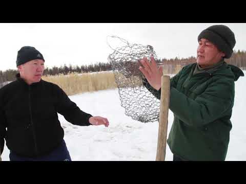 Видео: "Бэрт ууһун уустара уонна булчуттара" - авторский проект Дмитрия Попова
