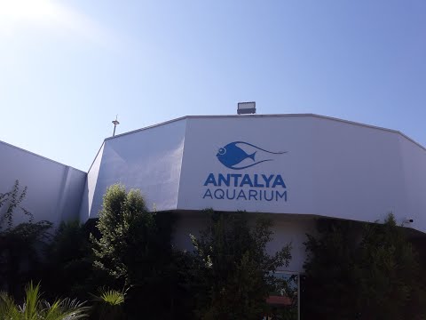 Видео: Аквариум, Океанариум Анталия (Antalya Aquarium), сентябрь 2020.