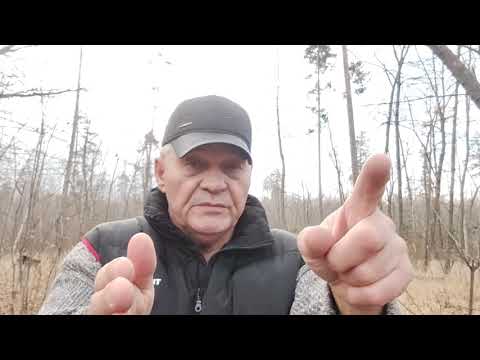 Видео: 18+ Следи за собой будь осторожен! Пригородный лес Тольятти.