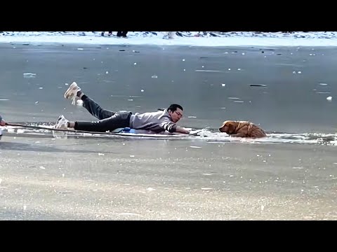 Видео: Собака застряла в ледяной пещере, мужчина рисковал жизнью, чтобы прорваться сквозь лед